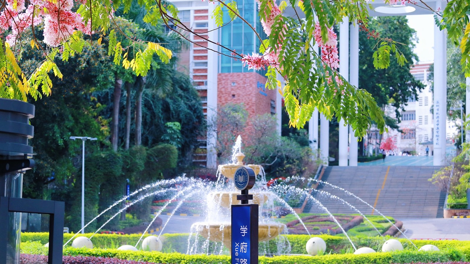 深圳市桃源居中澳实验学校